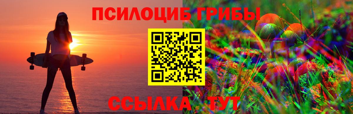 Псилоцибиновые грибы Psilocybine cubensis Отрадный